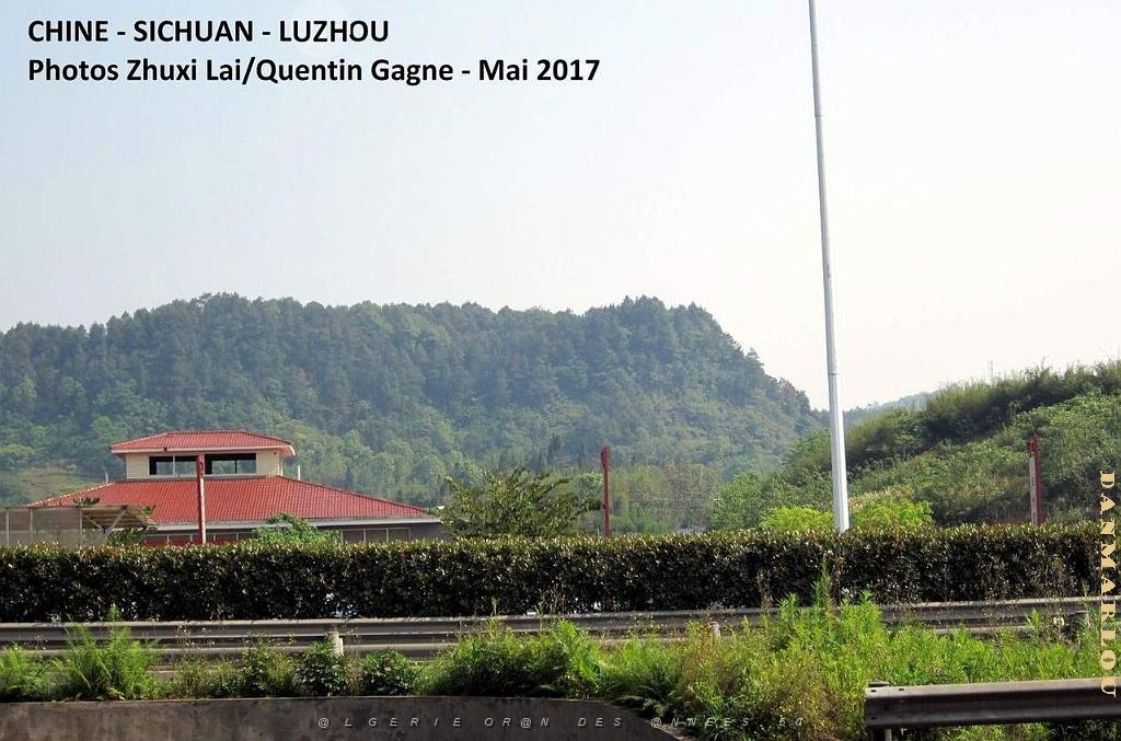 Luzhou 066.JPG